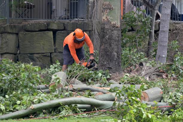 Why Choose Our Tree Removal Services in Glasgow, DE?